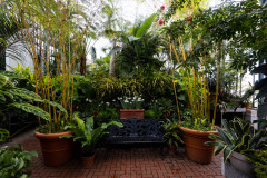 biltmore_mansion-asheville-north_carolina-2022-0978